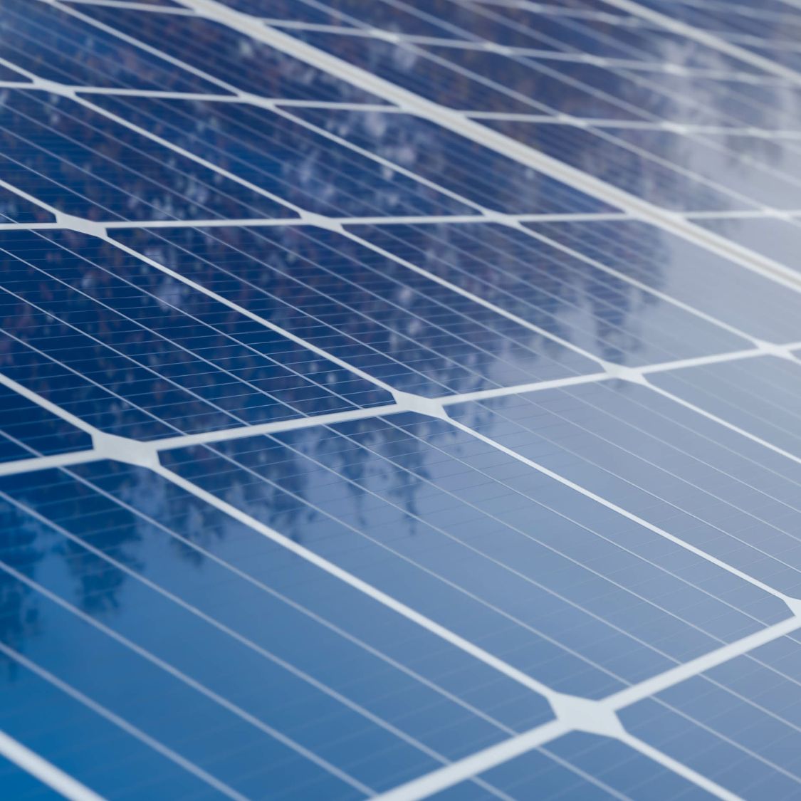 What You Need To Know Before Investing in Solar Panels